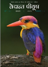 Screenshot 2025-07-30 183352_167x234