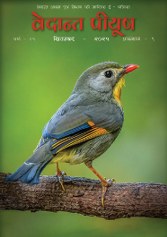 Screenshot 2025-08-31 161926_167x237