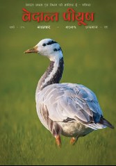 Screenshot 2025-11-12 161214_167x239