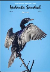 Screenshot 2025-12-01 070124_167x239