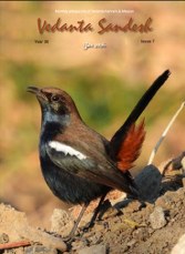 Screenshot 2026-01-15 071342_167x229