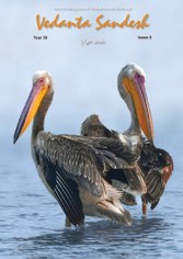 Screenshot 2026-03-02 151450_167x236