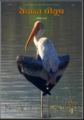 Screenshot 2026-04-09 183316_167x237